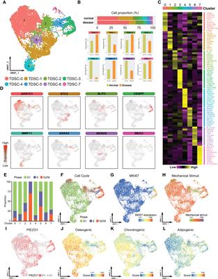 Integrative single-cell RNA and ATAC sequencing reveals that the FOXO1-PRDX2-TNF axis regulates tendinopathy